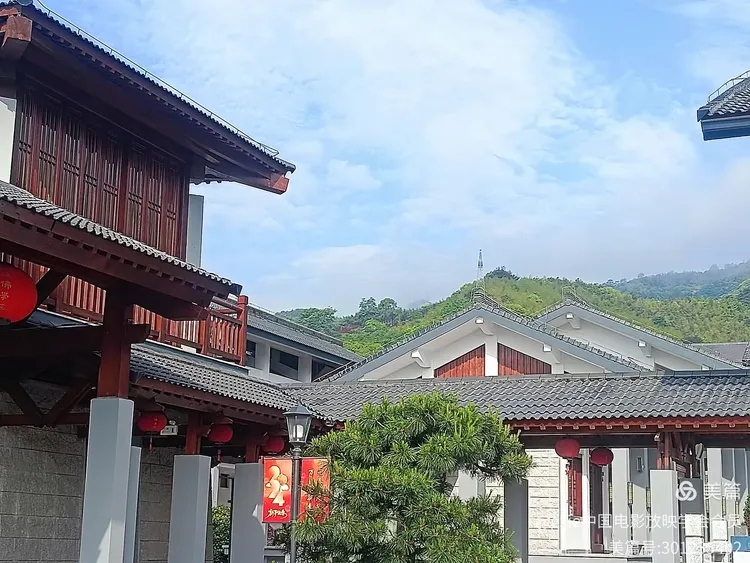 前往奉化溪口浙江佛学院参观记